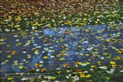 Ringpark ohne Klein Nizza