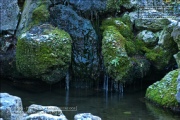 Erthalbrunnen im Klein Nizza