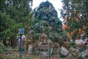 Schoenbornbrunnen im Klein Nizza