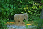 Elefantenbrunnen im Klein Nizza