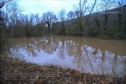 Feuchtgebiet Schafweide