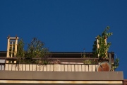 Semmelstrasse