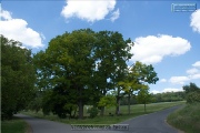Naturdenkmal Sieben Eichen