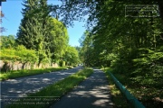 Stadtteil Steinbachtal