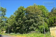 Stadtteil Steinbachtal
