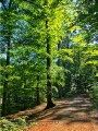 Steinbachtal und Steinbachtal-Anlagen