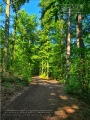 Steinbachtal und Steinbachtal-Anlagen