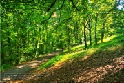 Steinbachtal und Steinbachtal-Anlagen