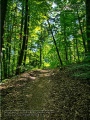 Steinbachtal und Steinbachtal-Anlagen