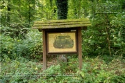 Steinbachtal und Steinbachtal-Anlagen