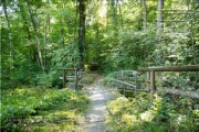 Steinbachtal und Steinbachtal-Anlagen