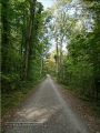 Steinbachtal und Steinbachtal-Anlagen