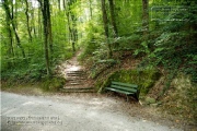 Steinbachtal und Steinbachtal-Anlagen