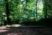 Trimm-Dich-Pfad - Fitness unter freiem Himmel