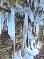 Naturdenkmal Tuff-Steilhang mit Eiszapfen behangen!