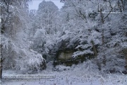 Naturdenkmal Tuff Steilhang