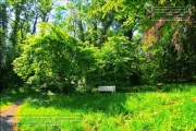 Villengarten auf dem Buergerbraeugelaende