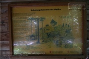 Waldlehrpfad im Stadtwald