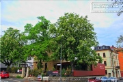 Zellerau – Geschichte, Kultur und Leben im Wuerzburger Stadtbezirk