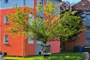 Zellerau – Geschichte, Kultur und Leben im Wuerzburger Stadtbezirk